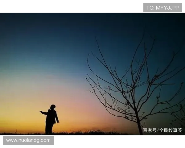 李强的滑板人生：在深度对话中探索梦想与坚持的力量